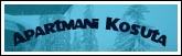 Baner